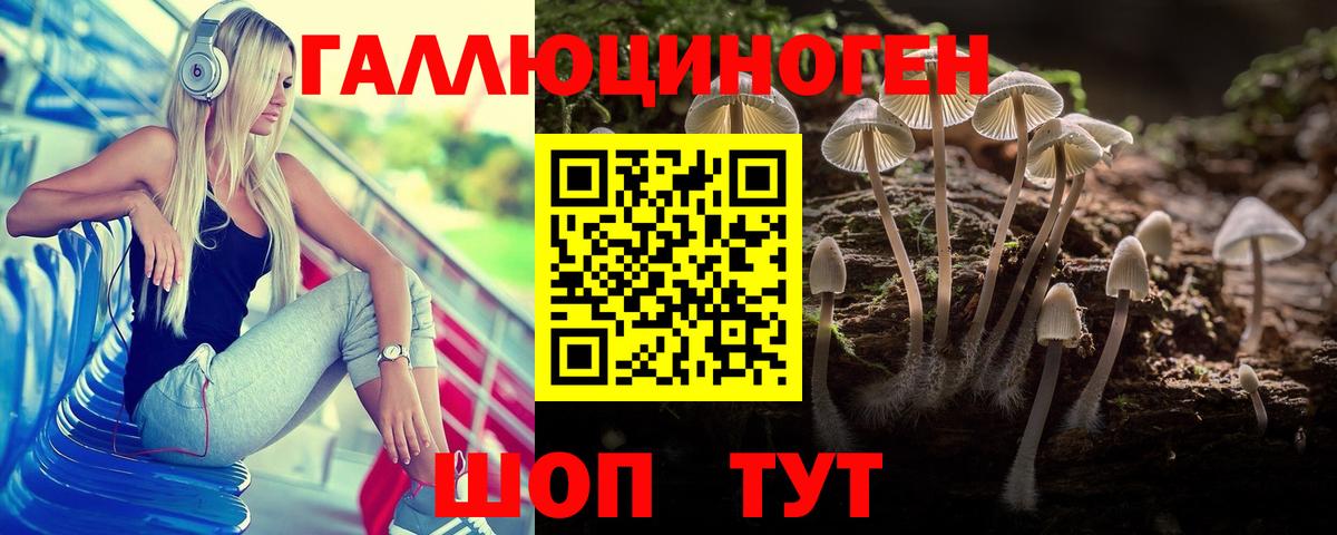 Галлюциногенные грибы Cubensis  Вход с VPN  Карпинск 