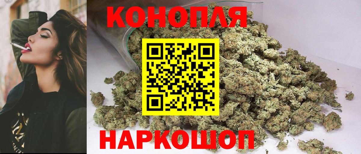Канабис сатива Карпинск